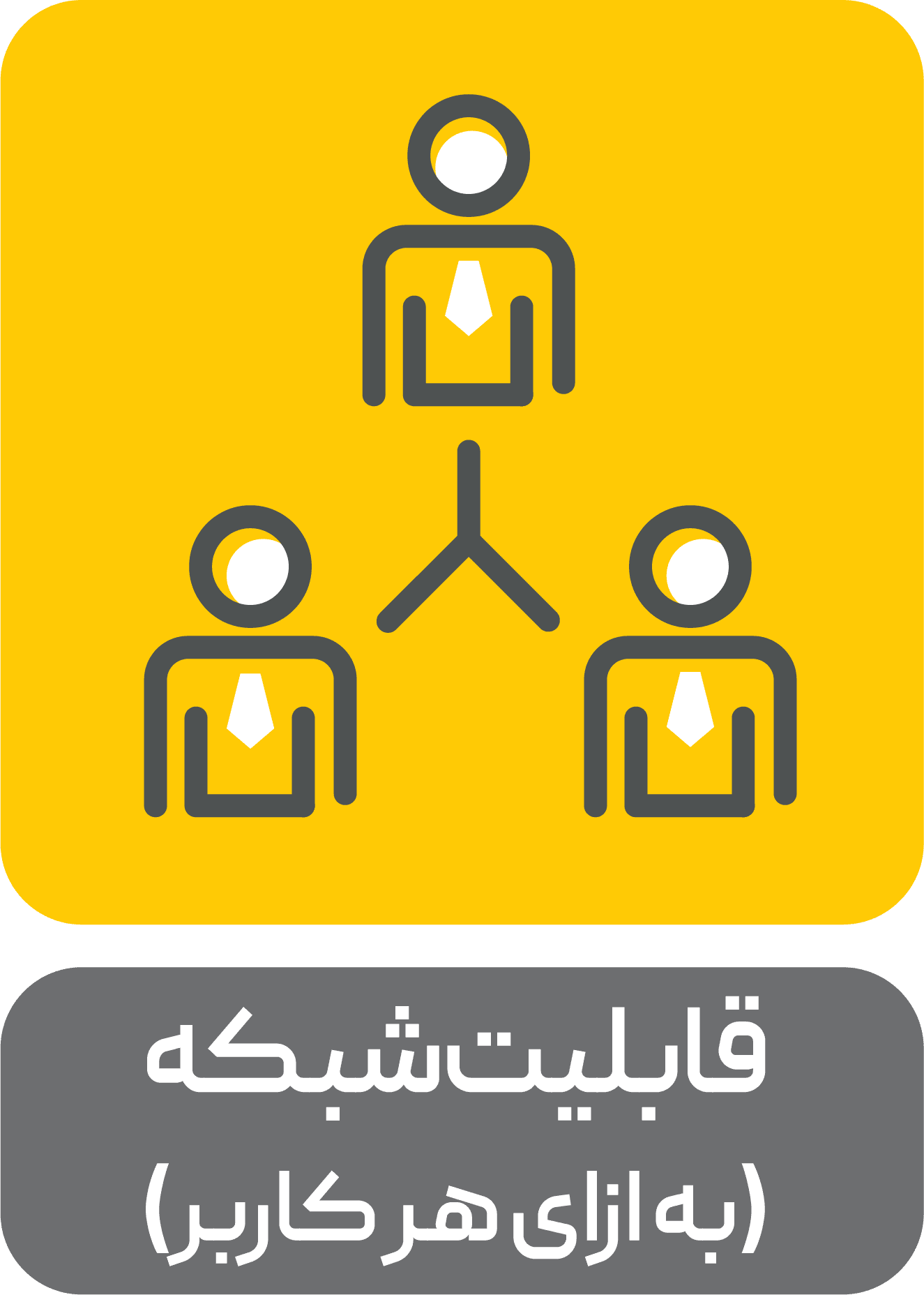 قابیلت شبکه (به ازاء هر شبکه)